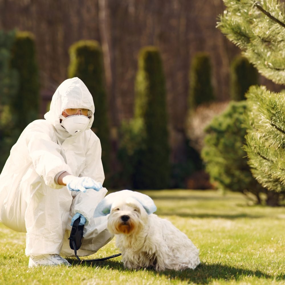Woman in a protective suit. Person in a mask. Woman with a dog.